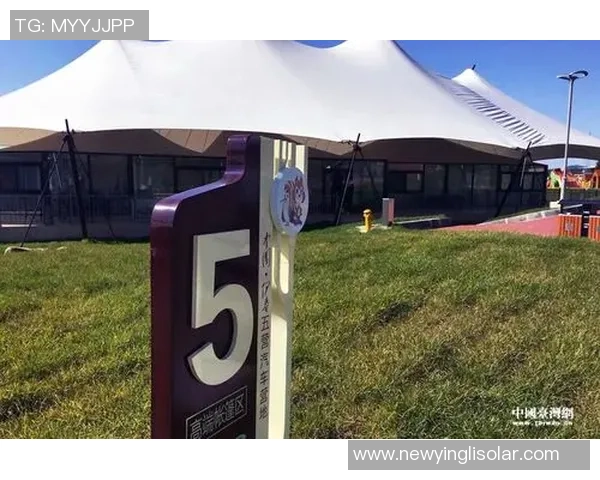 上海羽毛球队选拔赛特别报道聚焦转型之路与未来发展潜力分析