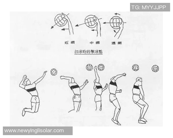 广州排球队的节奏揭秘：深入分析排球的魅力与战术策略