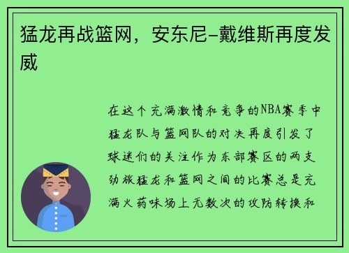 猛龙再战篮网，安东尼-戴维斯再度发威